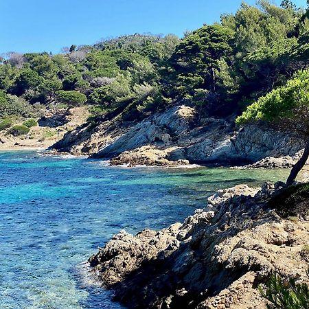 Chateau De Valmer La Croix-Valmer Dış mekan fotoğraf