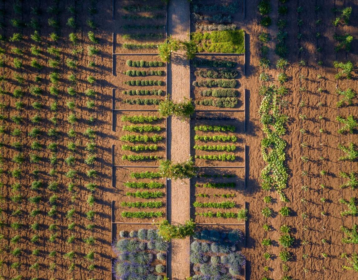 Chateau De Valmer La Croix-Valmer Dış mekan fotoğraf