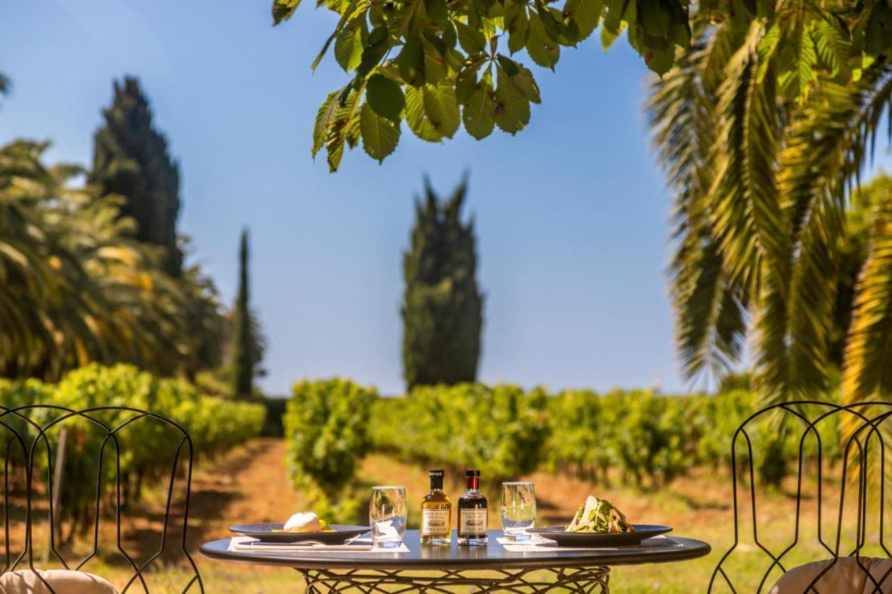 Chateau De Valmer La Croix-Valmer Dış mekan fotoğraf