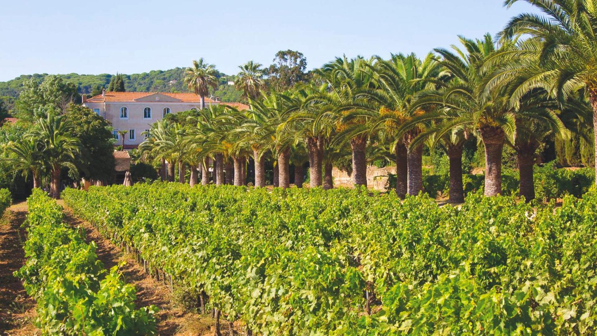 Chateau De Valmer La Croix-Valmer Dış mekan fotoğraf