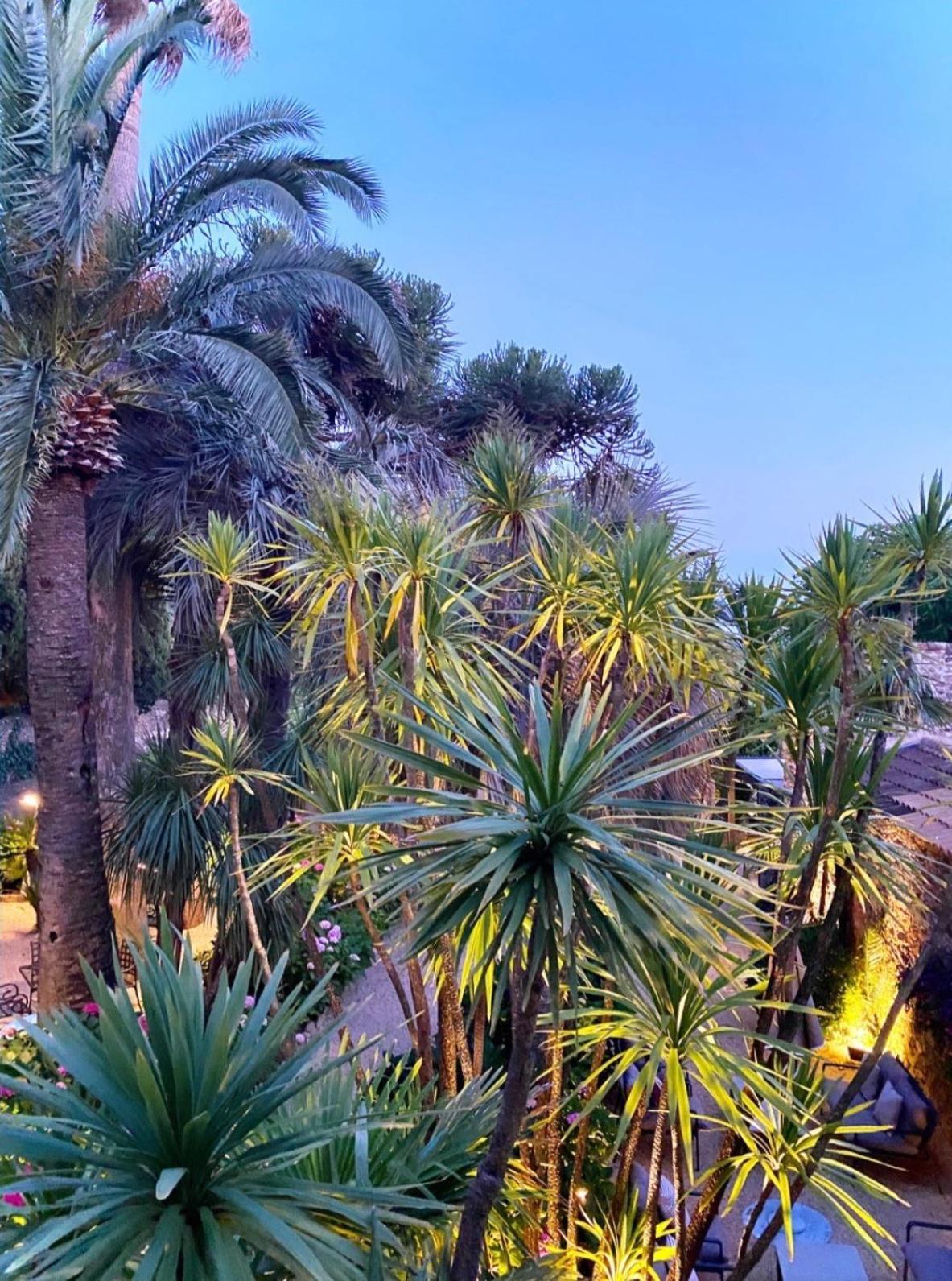 Chateau De Valmer La Croix-Valmer Dış mekan fotoğraf