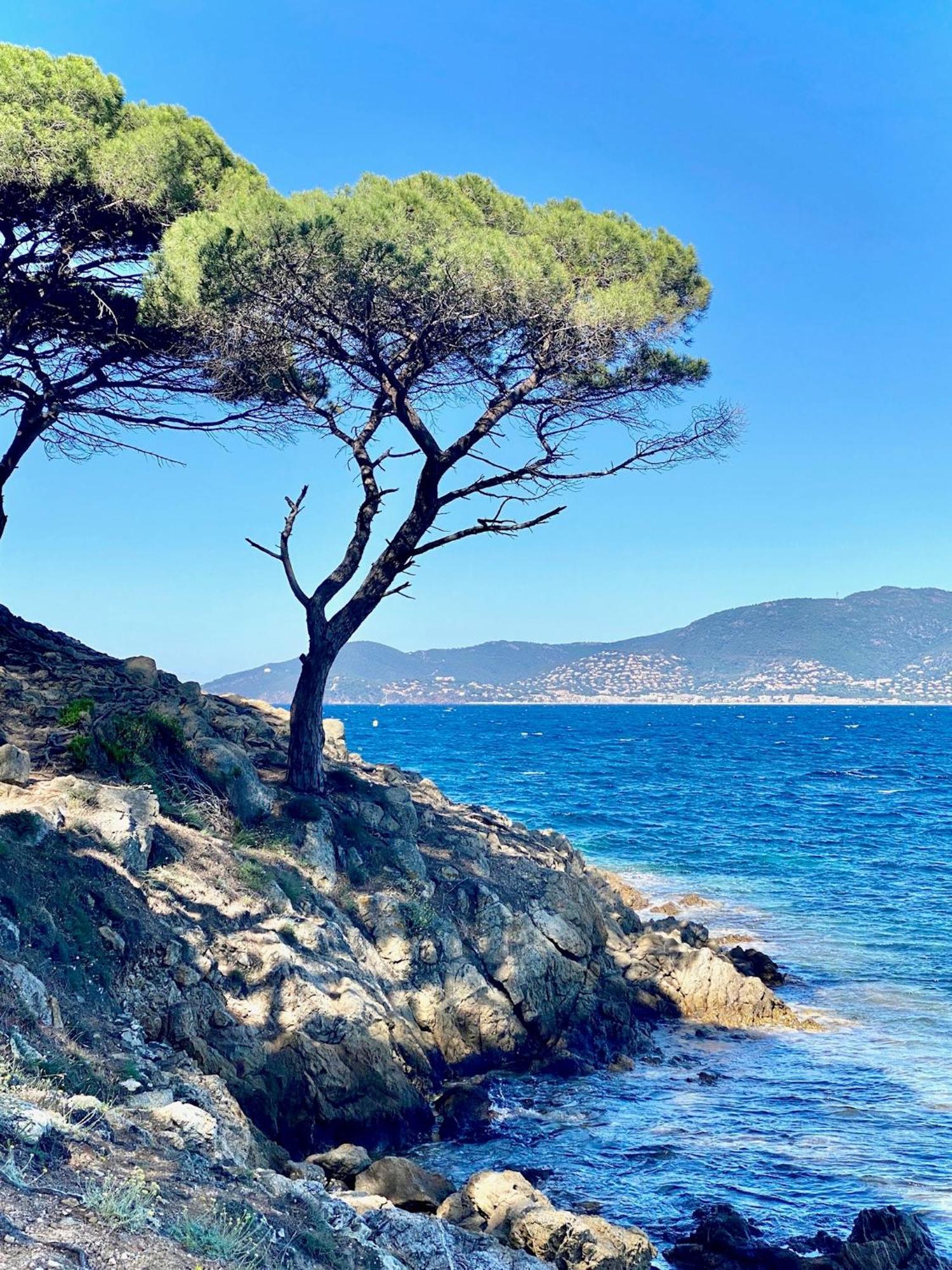 Chateau De Valmer La Croix-Valmer Dış mekan fotoğraf