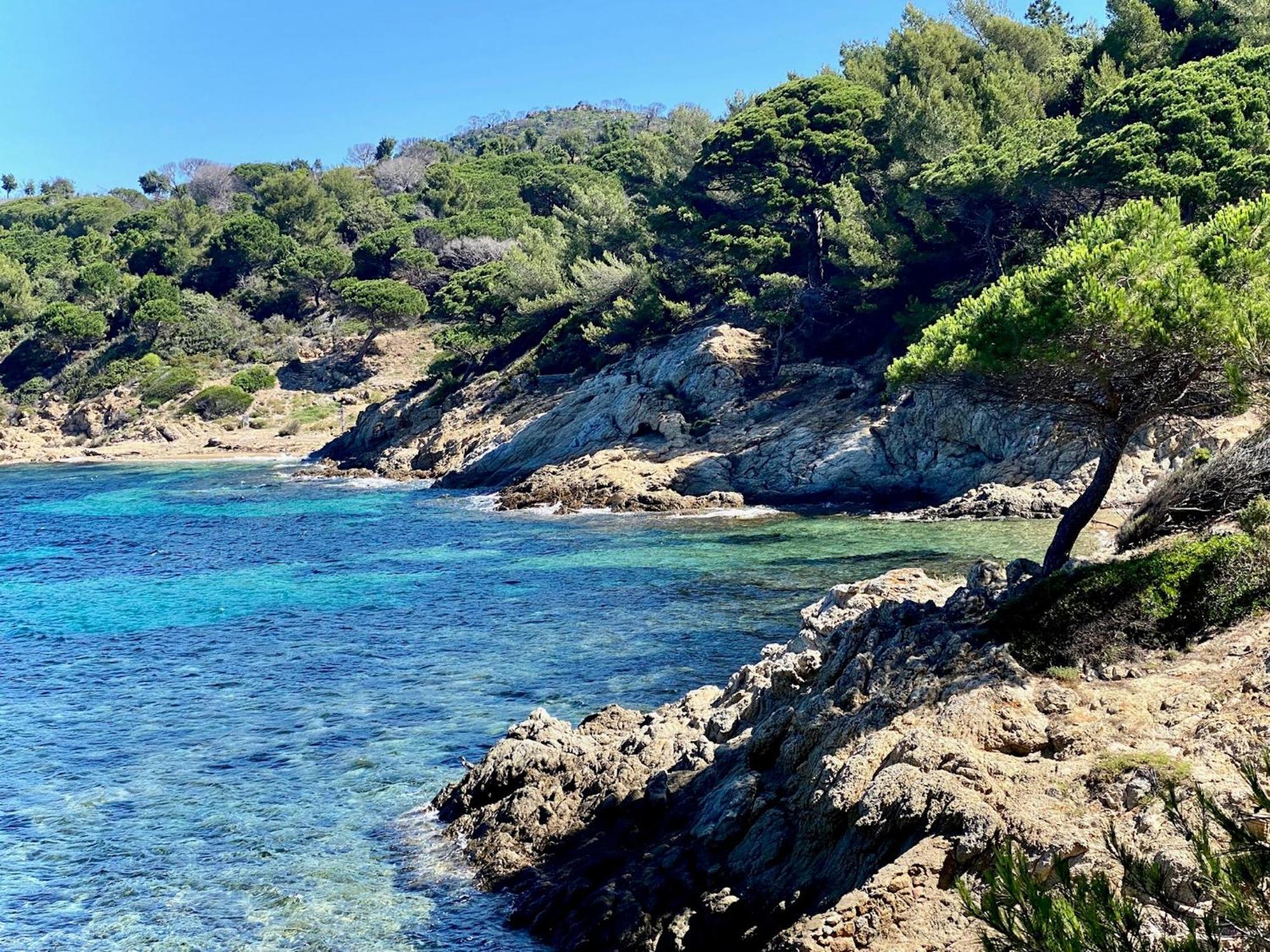 Chateau De Valmer La Croix-Valmer Dış mekan fotoğraf