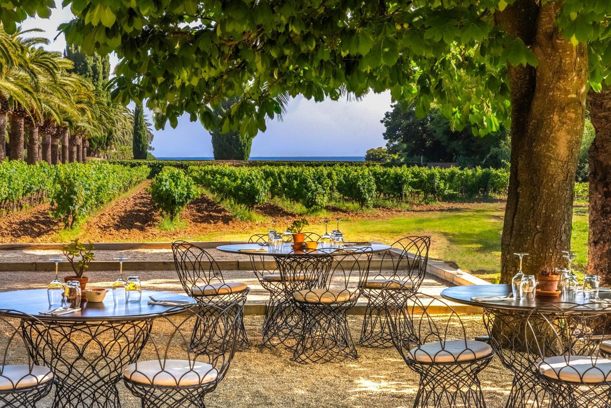 Chateau De Valmer La Croix-Valmer Dış mekan fotoğraf